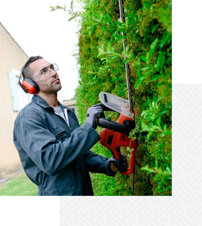 A man with ear muffs and goggles using an electric saw to cut the tree.