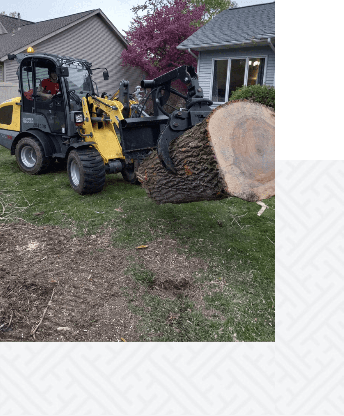 A small yellow and black tractor is in the grass